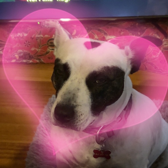 💗 - Picture 7 of 7